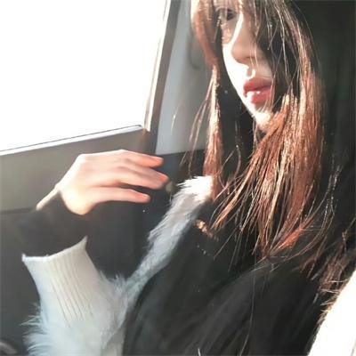 不死鸟之恋